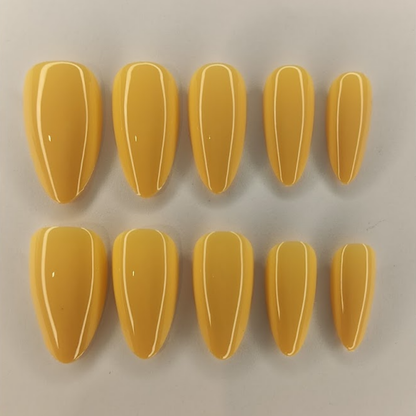 ''Classic Elegance Almond Collection''